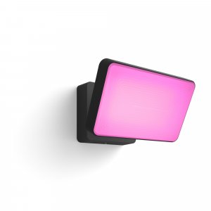 Philips Hue White and colour ambience Discover Outdoor Floodlight