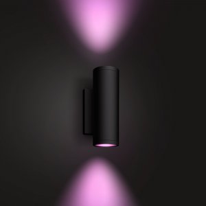 Philips Hue White and colour ambience Appear Outdoor wall light