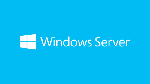 Microsoft Windows Server 2 license(s)
