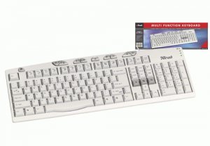 Trust Multi Function , IT keyboard PS/2 White