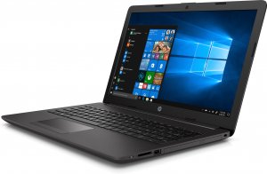 HP 250 G7 DDR4-SDRAM Notebook 39.6 cm (15.6") 1366 x 768 pixels 10th gen Intel® Core™ i5 8 GB 256 GB SSD Wi-Fi 5 (802.11ac) Windows 10 Pro Grey