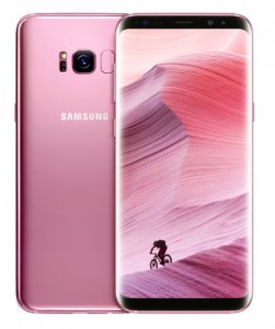 Samsung Galaxy S8+ S8+ 15.8 cm (6.2") Android 7.0 4G USB Type-C 4 GB 64 GB 3500 mAh Pink Refurbished