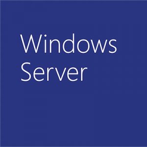 Microsoft Windows Server Standard 2019, OLP Multilingual