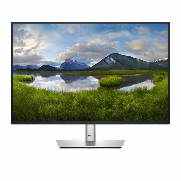 DELL P Series P2425E computer monitor 61.1 cm (24.1") 1920 x 1200 pixels WUXGA LCD Black