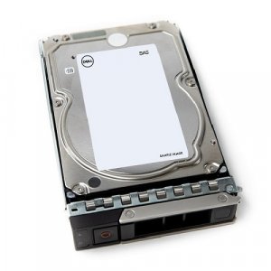 DELL 161-BCJX internal hard drive 12 TB 7200 RPM 3.5″ NL-SAS