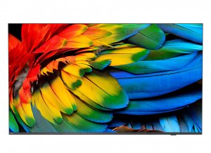 Philips 43HFL6214U 109.2 cm (43″) 4K Ultra HD Smart TV Wi-Fi Anthracite 400 cd/m² Rollable display