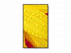 NEC MultiSync ME551 Digital signage flat panel 139.7 cm (55") IPS 400 cd/m² 4K Ultra HD Black 18/7