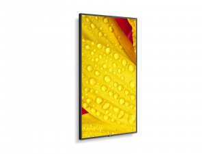 NEC MultiSync ME651 Digital signage flat panel 165.1 cm (65") IPS 400 cd/m² 4K Ultra HD Black 18/7