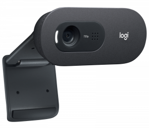 Logitech C505e