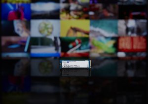Kingston Technology 1000G NV2 M.2 2280 PCIe 4.0 NVMe SSD