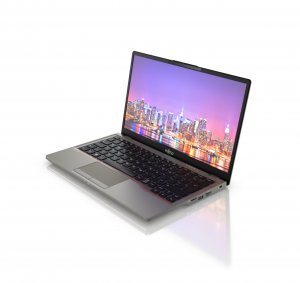 Fujitsu LIFEBOOK U7313 Intel® Core™ i5 i5-1335U Laptop 33.8 cm (13.3") Full HD 16 GB DDR4-SDRAM 512 GB SSD Wi-Fi 6E (802.11ax) Windows 11 Pro Silver