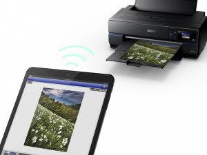 Epson SureColor SC-P800