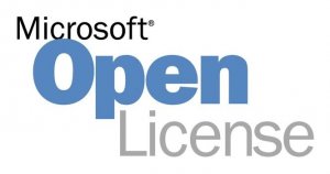Microsoft Exchange Standard 2019 1 license(s) License
