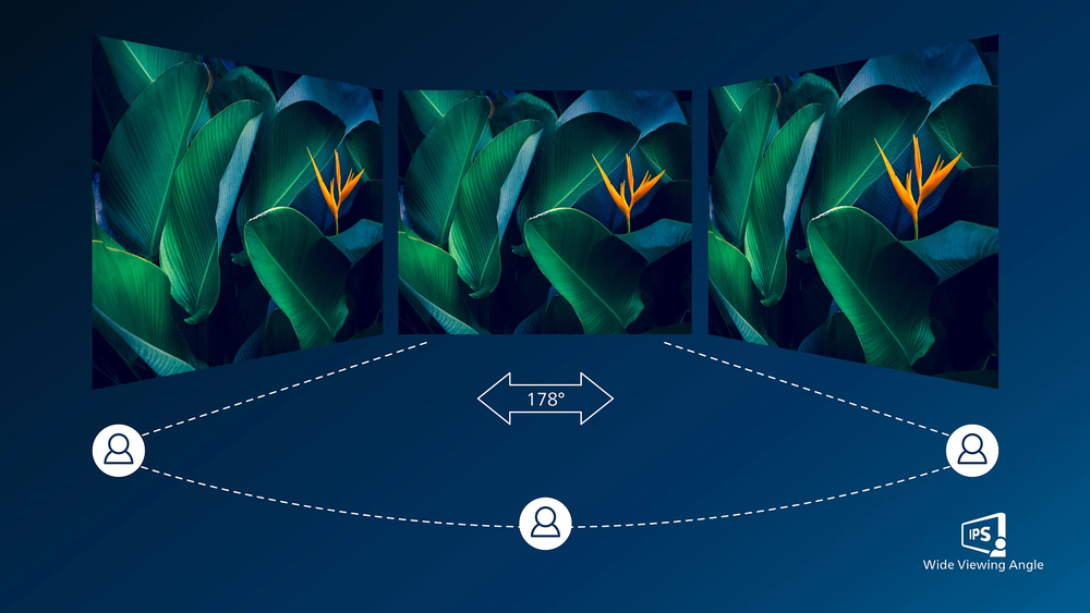 IPS technology for full colors and wide viewing angles