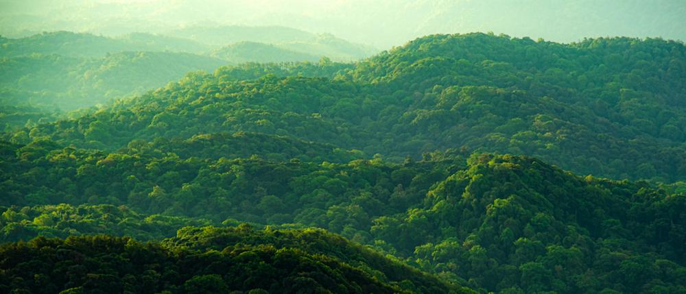 Made for you, sustainably