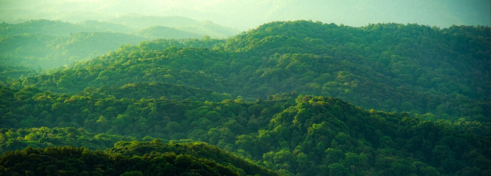 Made for you, sustainably